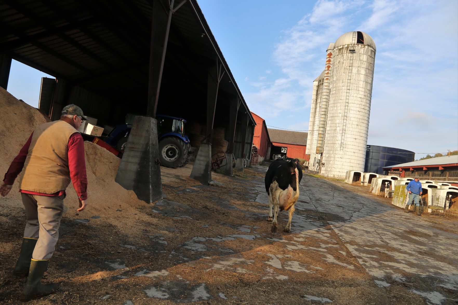 Hollister Brothers Farm